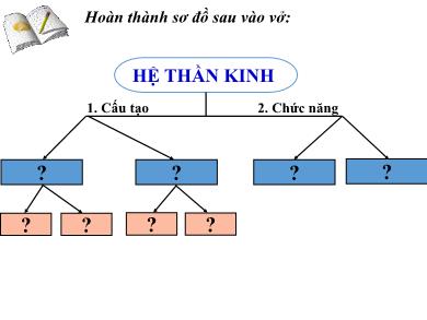 Bài giảng Sinh học 8 - Hệ thần kinh