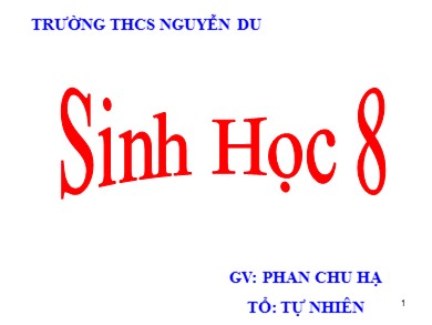 Bài giảng Sinh học 8 - Tiết 10 - Bài 10: Hoạt động của cơ