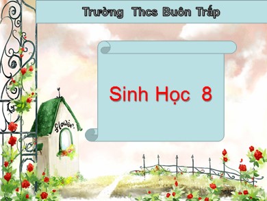 Bài giảng Sinh học 8 - Tiết 11 - Bài 11: Tiến hóa của hệ vận động vệ sinh hệ vận động