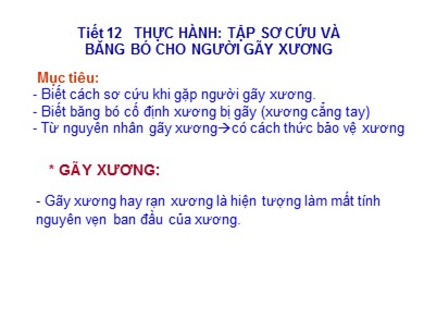 Bài giảng Sinh học 8 - Tiết 12: Thực hành: Tập sơ cứu và băng bó cho người gãy xương