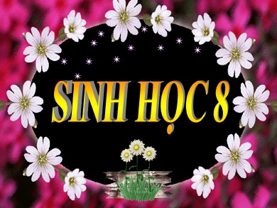 Bài giảng Sinh học 8 - Tiết 14 - Bài 14: Bạch cầu – Miễn dịch