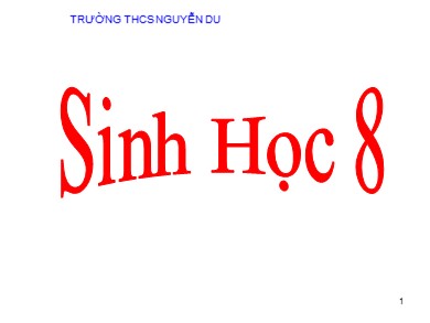 Bài giảng Sinh học 8 - Tiết 14 - Bài học 14: Bạch cầu – miễn dịch