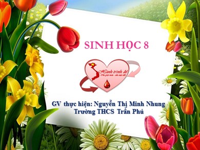 Bài giảng Sinh học 8 - Tiết 15: Đông máu và nguyên tắc truyền máu