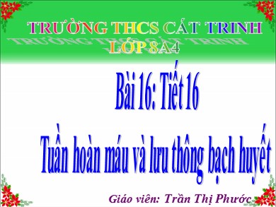 Bài giảng Sinh học 8 - Tiết 16: Tuần hoàn máu và lưu thông bạch huyết - Trần Thị Phước