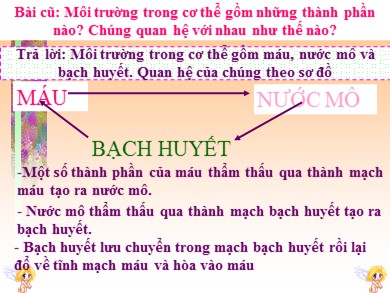 Bài giảng Sinh học 8 - Tiết 16: Tuần hoàn máu và lưu thông bạch huyết