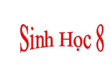 Bài giảng Sinh học 8 - Tiết 22 - Bài 20: Hô hấp và các cơ quan hô hấp