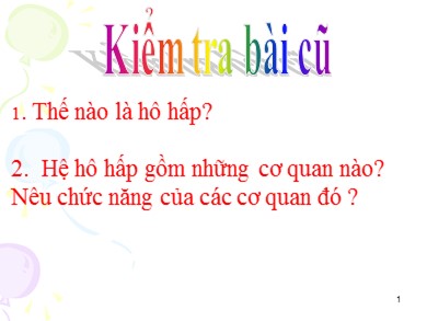 Bài giảng Sinh học 8 - Tiết 22 - Bài học 21: Hoạt động hô hấp