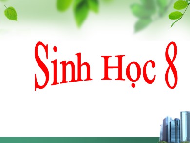 Bài giảng Sinh học 8 - Tiết 24 - Bài 22: Vệ sinh hô hấp