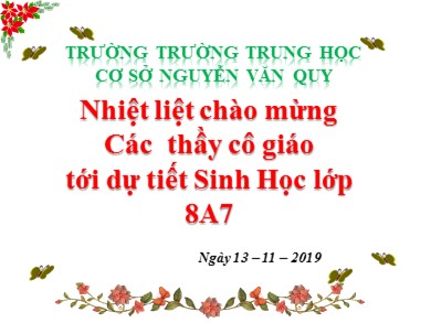 Bài giảng Sinh học 8 - Tiết 25 - Bài 24: Tiêu hóa và các cơ quan tiêu hóa