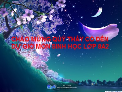 Bài giảng Sinh học 8 - Tiết 27 - Bài 25: Tiêu hóa ở khoang miệng