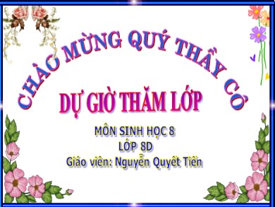 Bài giảng Sinh học 8 - Tiết 28: Hấp thụ chất dinh dưỡng và thải phân