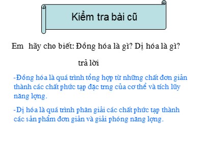 Bài giảng Sinh học 8 - Tiết 34: Thân nhiệt