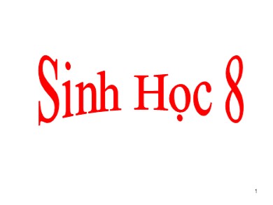 Bài giảng Sinh học 8 - Tiết 42 - Bài 38: Bài tiết và cấu tạo hệ bài tiết nước tiểu