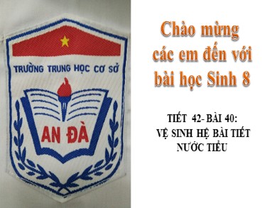 Bài giảng Sinh học 8 - Tiết 42 - Bài 40: Vệ sinh hệ bài tiết nước tiểu