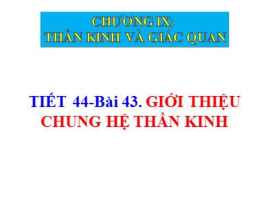 Bài giảng Sinh học 8 - Tiết 44 - Bài 43: Giới thiệu chung hệ thần kinh