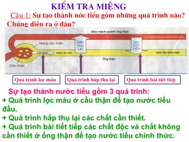 Bài giảng Sinh học 8 - Tiết 44: Vệ sinh hệ bài tiết nước tiểu