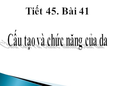 Bài giảng Sinh học 8 - Tiết 45 - Bài 41: Cấu tạo và chức năng của da