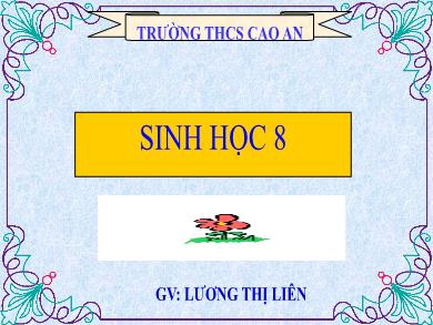 Bài giảng Sinh học 8 - Tiết 45: Giới thiệu chung hệ thần kinh