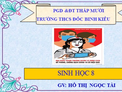 Bài giảng Sinh học 8 - Tiết 46 - Bài 43 + Bài 45: Giới thiệu chung hệ thần kinh, dây thần kinh tủy