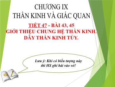 Bài giảng Sinh học 8 - Tiết 47 - Bài 43, 45: Giới thiệu chung hệ thần kinh, dây thần kinh tủy