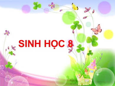 Bài giảng Sinh học 8 - Tiết 48: Cơ quan phân tích thị giác