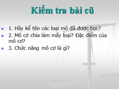 Bài giảng Sinh học 8 - Tiết 5 – Bài 5: Thực hành: Quan sát tế bào và mô