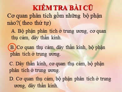 Bài giảng Sinh học 8 - Tiết 54: Vệ sinh mắt