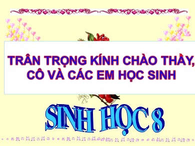 Bài giảng Sinh học 8 - Tiết dạy 13: Máu và môi trường trong cơ thể