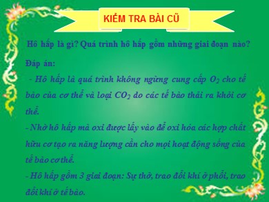 Bài giảng Sinh học 8 - Tiết dạy 23 - Bài 21: Hoạt động hô hấp