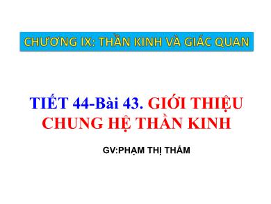 Bài giảng Sinh học 8 - Tiết dạy 44 - Bài 43: Giới thiệu chung hệ thần kinh