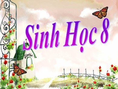 Bài giảng Sinh học 8 - Tiết học 11: Tiến hóa của hệ vận động vệ sinh hệ vận động