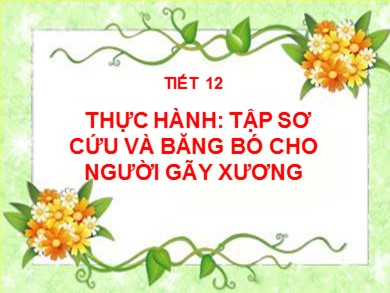 Bài giảng Sinh học 8 - Tiết học 12: Thực hành: Tập sơ cứu và băng bó cho người gãy xương