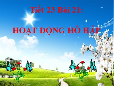 Bài giảng Sinh học 8 - Tiết học 23 - Bài 21: Hoạt động hô hấp