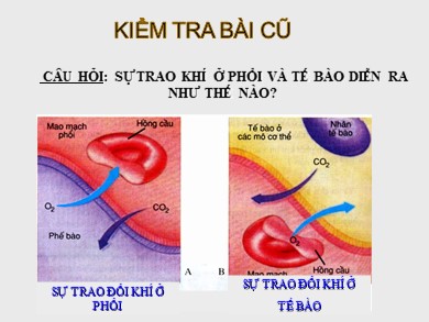 Bài giảng Sinh học 8 - Tiết học 23 - Bài 22: Vệ sinh hô hấp