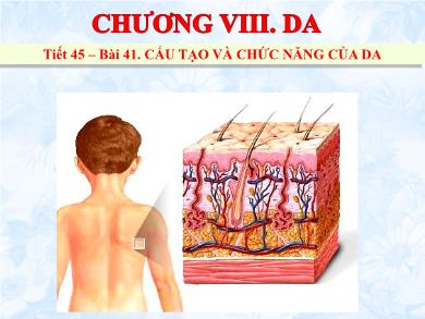 Bài giảng Sinh học 8 - Tiết học 45 – Bài 41: Cấu tạo và chức năng của da