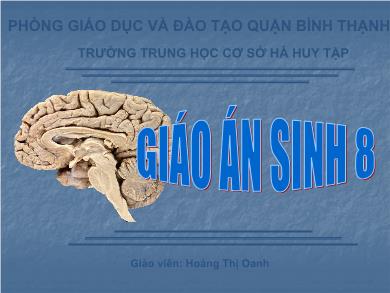 Bài giảng Sinh học 8 - Tiết học 48 - Bài 46: Trụ não, tiểu não não trung gian