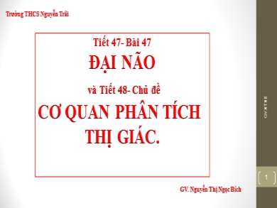 Bài giảng Sinh học 8 - Tiết học 48: Cơ quan phân tích thị giác