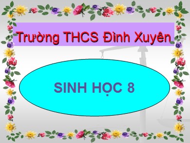 Bài giảng Sinh học 8 - Tiêt học 5: Thực hành: Quan sát tế bào và mô