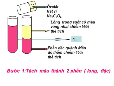 Bài giảng Sinh học 8 - Tiết học13: Máu và môi trường trong cơ thể