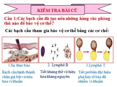 Bài giảng Sinh học 8 - Tiết số 15: Đông máu và nguyên tắc truyền máu