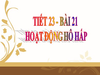 Bài giảng Sinh học 8 - Tiết số 23 - Bài 21: Hoạt động hô hấp