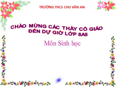 Bài giảng Sinh học 8 - Tiết số 24 - Bài 22: Vệ sinh hô hấp