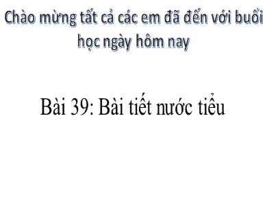 Bài giảng Sinh học khối 8 - Bài 39: Bài tiết nước tiểu