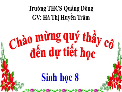 Bài giảng Sinh học khối 8 - Bài học 13: Máu và môi trường trong cơ thể