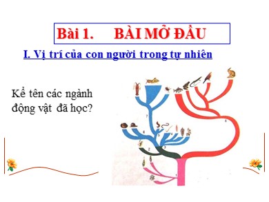 Bài giảng Sinh học lớp 8 - Bài 01: Bài mở đầu