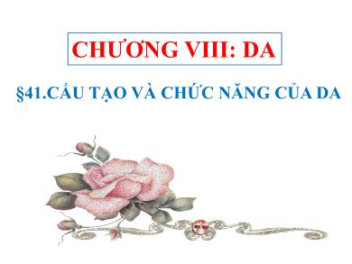 Bài giảng Sinh học lớp 8 - Bài 41: Cấu tạo và chức năng của da