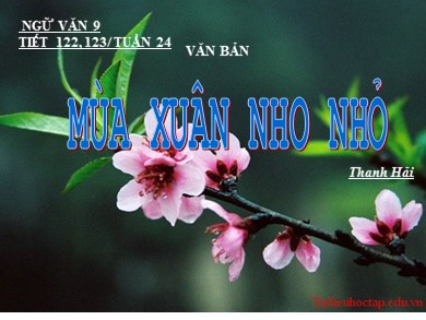 Bài giảng môn Ngữ văn 9 - Bài học: Mùa xuân nho nhỏ