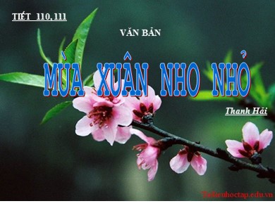 Bài giảng Ngữ văn 9 - Bài số 23: Mùa xuân nho nhỏ