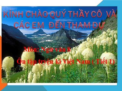 Bài giảng Ngữ văn 9 - Ôn tập tryện kí Việt Nam (Tiết 1)