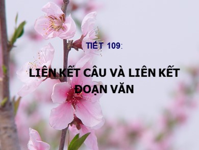 Bài giảng Ngữ văn 9 - Tiết 109: Liên kết câu và liên kết đoạn văn